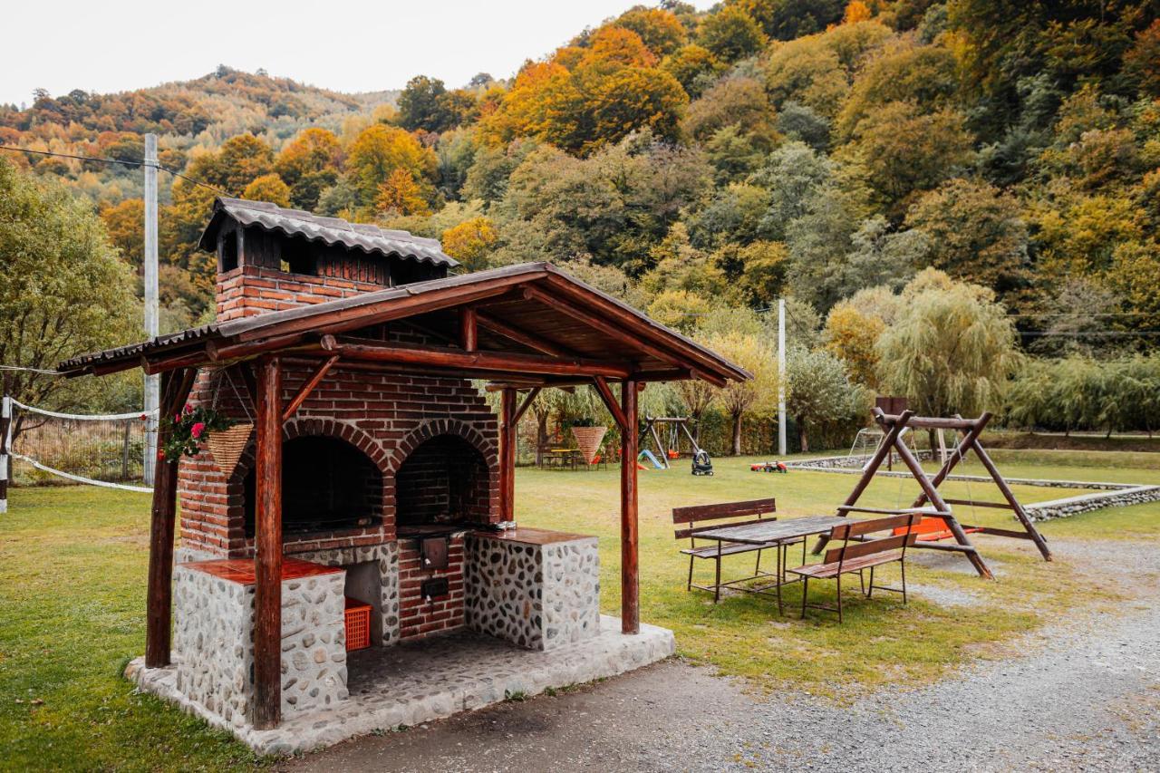 Hotel Casa Ardeleana Lotrioara Zewnętrze zdjęcie