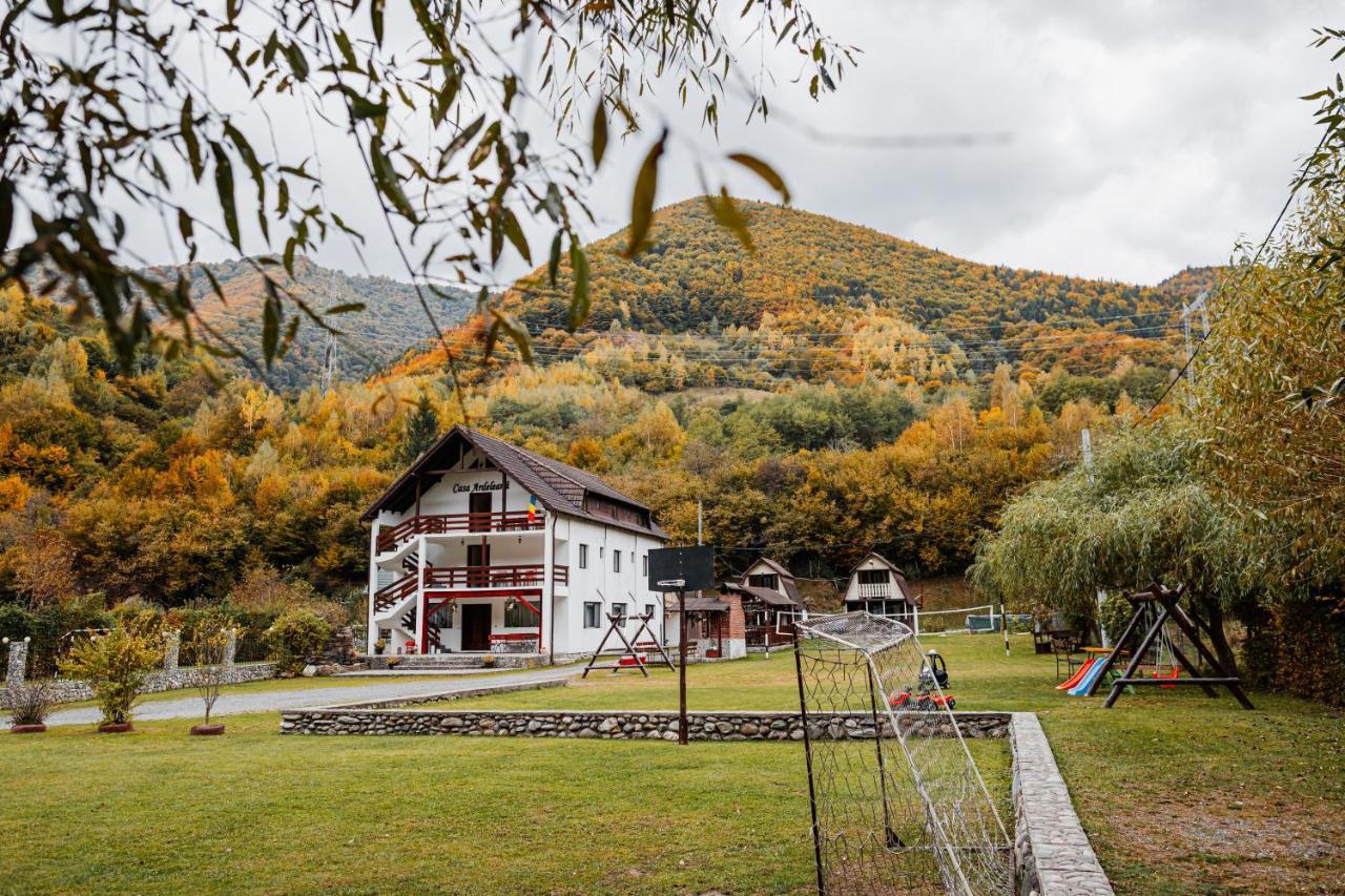 Hotel Casa Ardeleana Lotrioara Zewnętrze zdjęcie